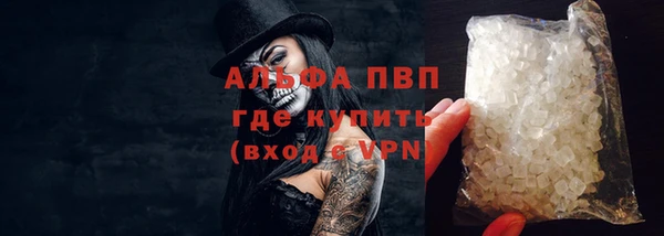 apvp Алзамай