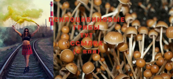 гидропоника Алексеевка