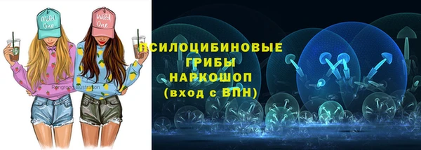 мдпв Абдулино