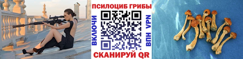 цены наркотик  Железноводск  Псилоцибиновые грибы ЛСД 