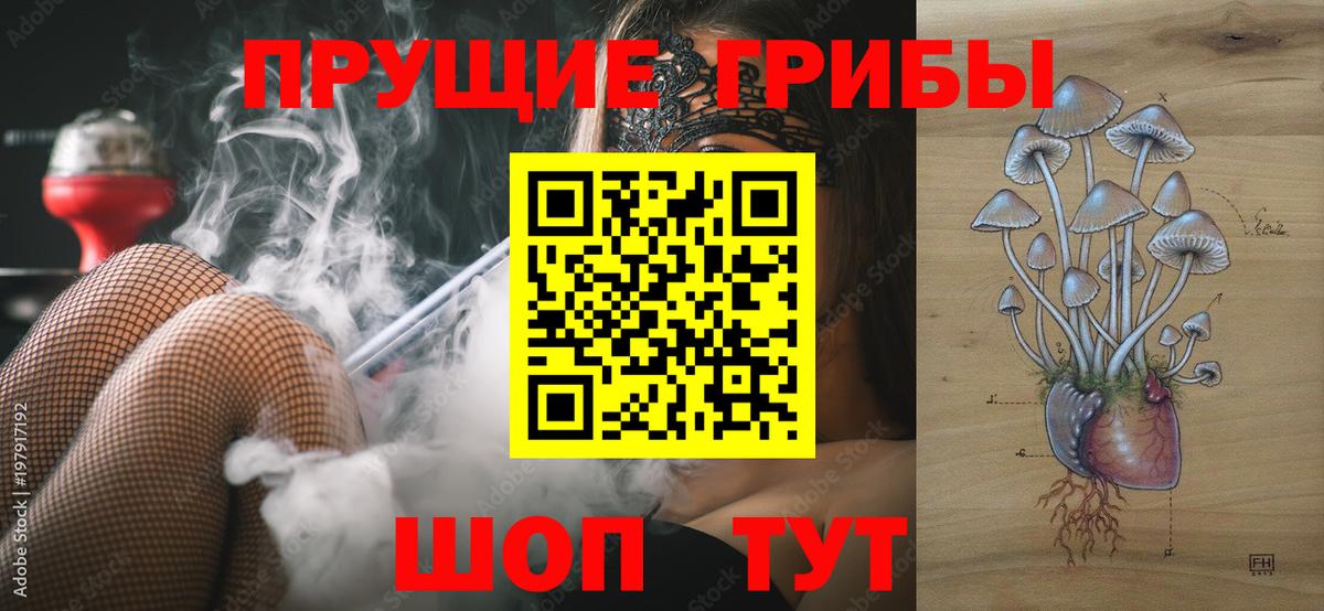 Псилоцибиновые грибы Magic Shrooms Железноводск
