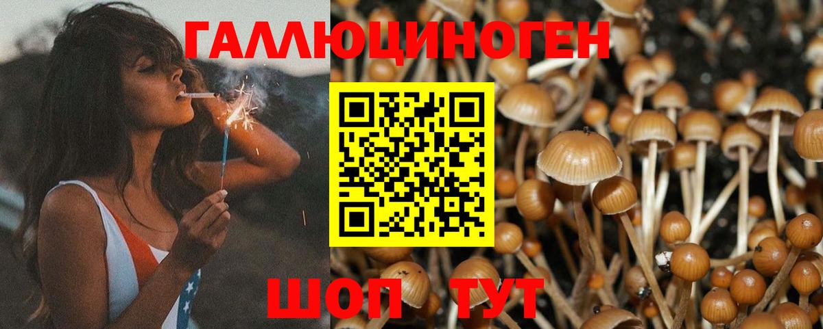Железноводск  Галлюциногенные грибы мицелий  Вход с VPN 